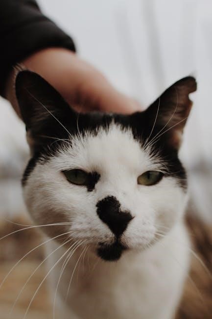 pexels-photo-31915254